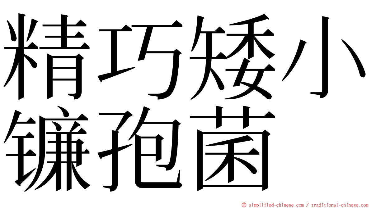 精巧矮小镰孢菌 ming font