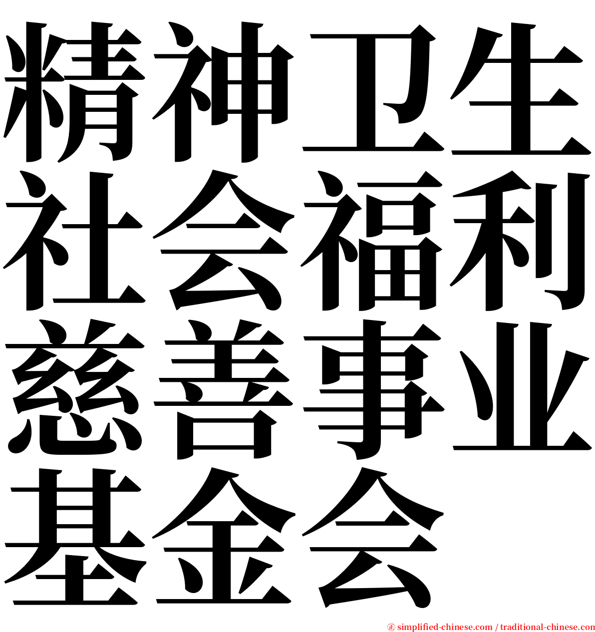 精神卫生社会福利慈善事业基金会 serif font