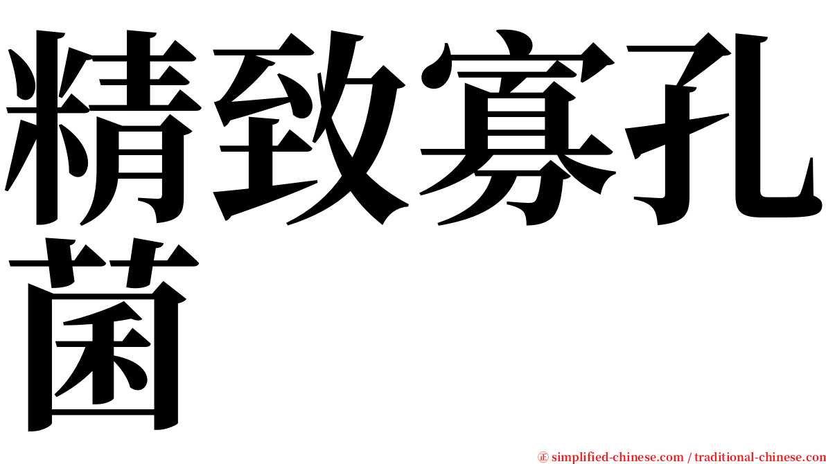 精致寡孔菌 serif font