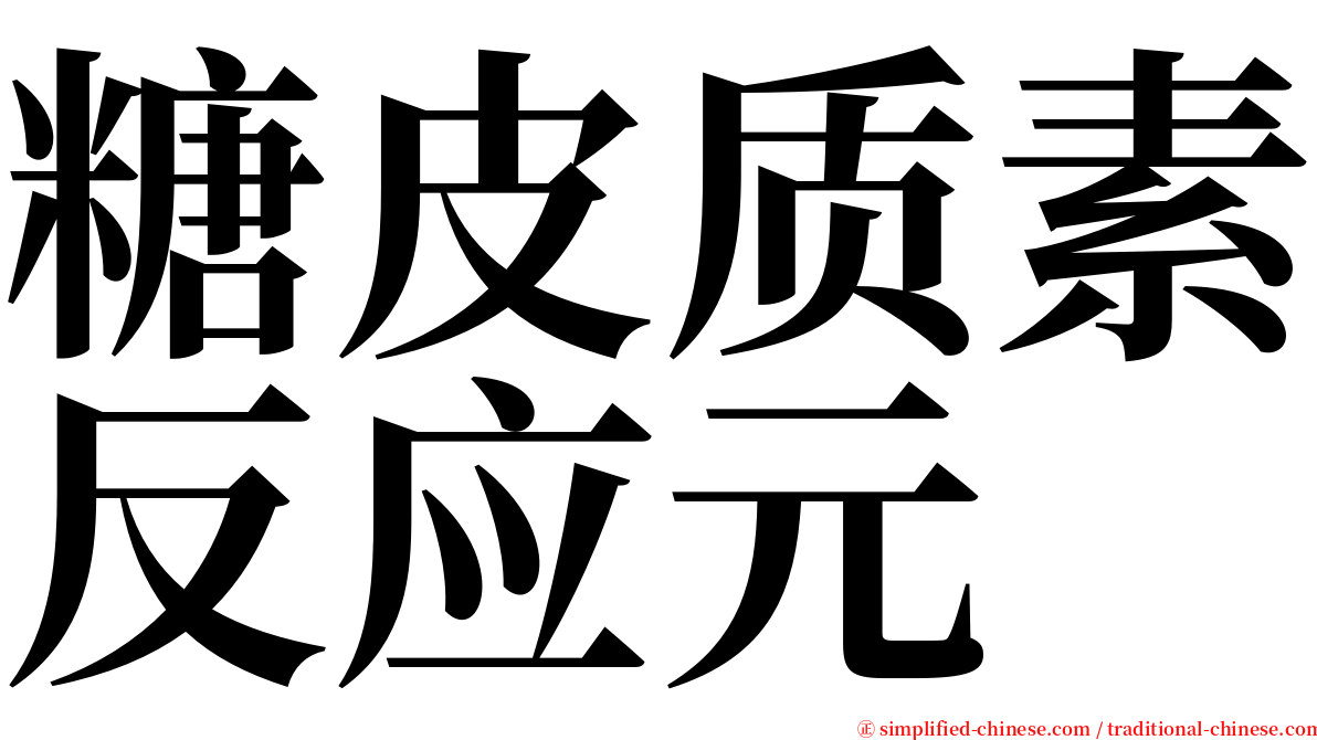 糖皮质素反应元 serif font