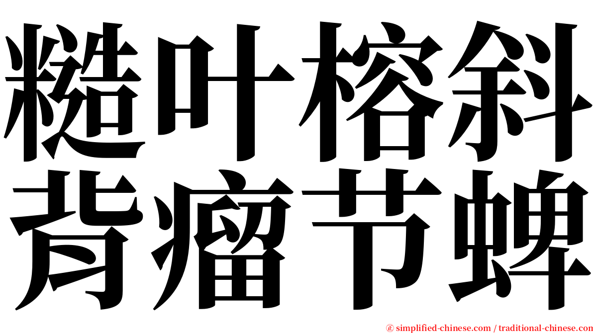 糙叶榕斜背瘤节蜱 serif font