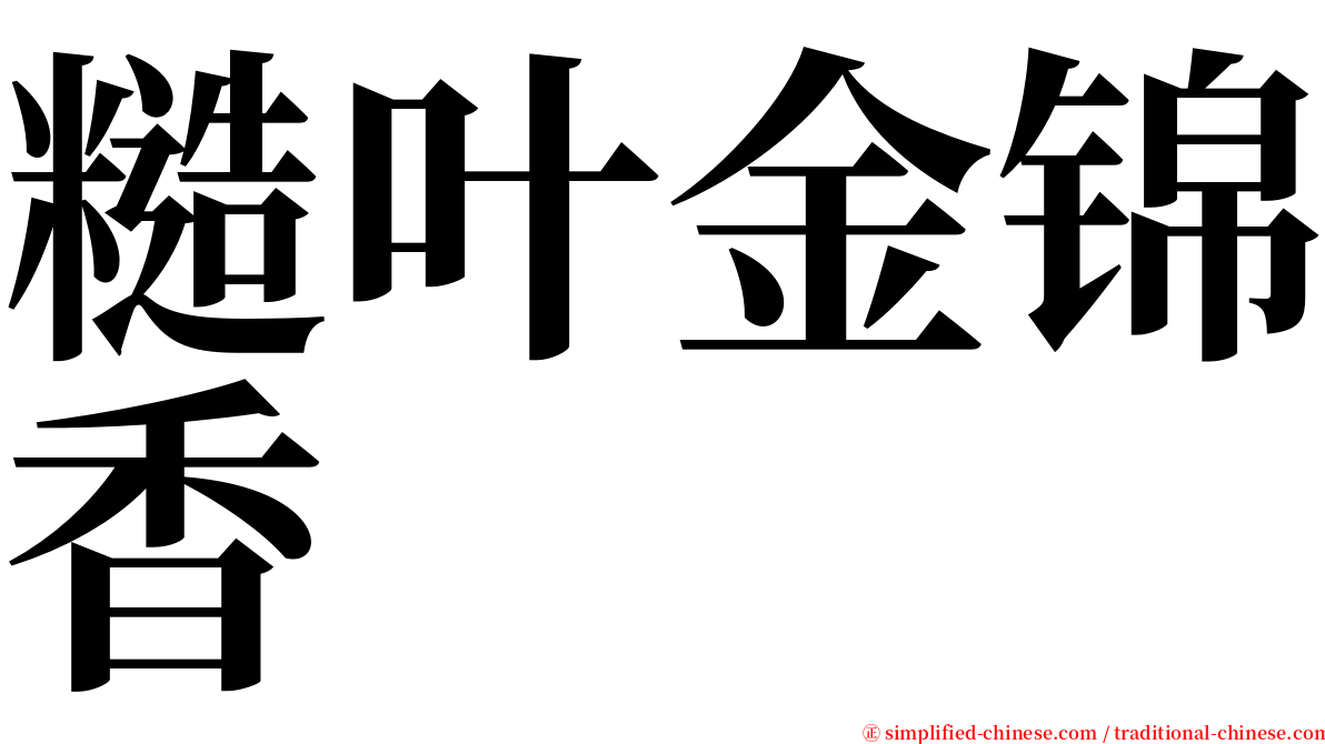 糙叶金锦香 serif font