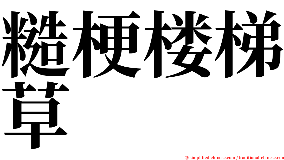 糙梗楼梯草 serif font