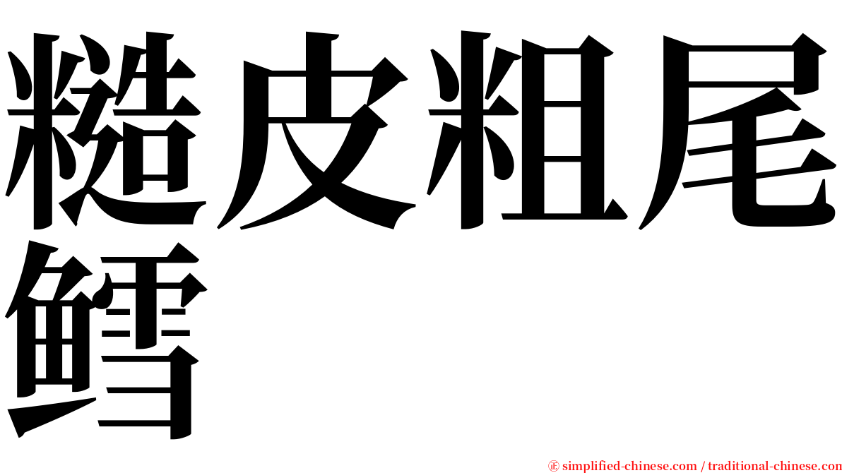 糙皮粗尾鳕 serif font