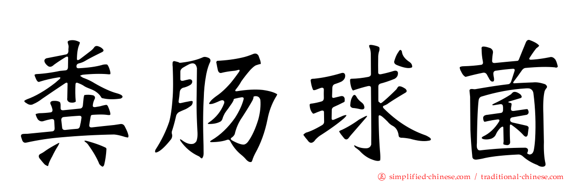 粪肠球菌