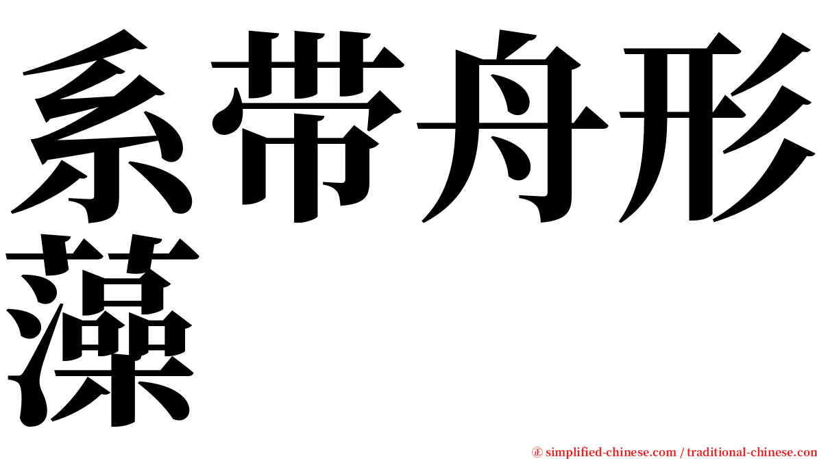 系带舟形藻 serif font