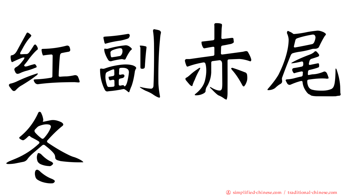 红副赤尾冬