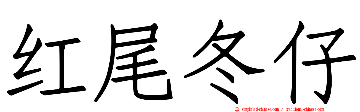 红尾冬仔