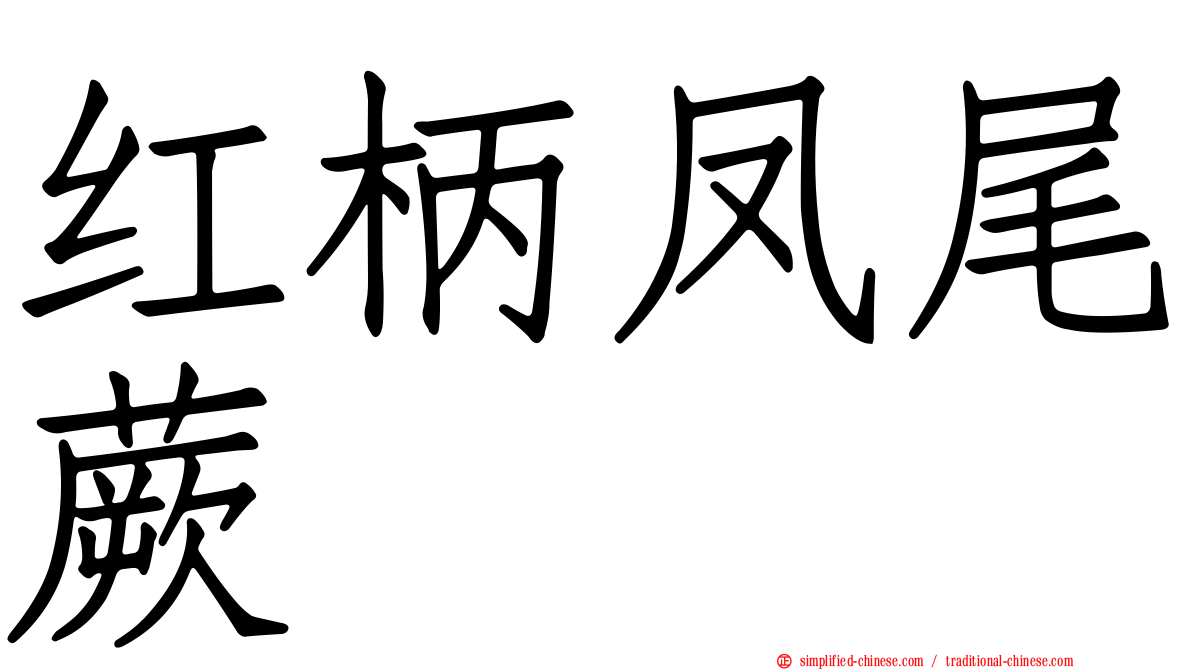 红柄凤尾蕨