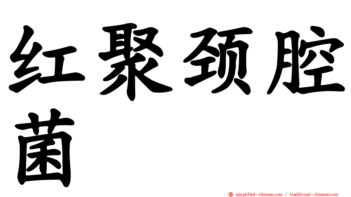 红聚颈腔菌
