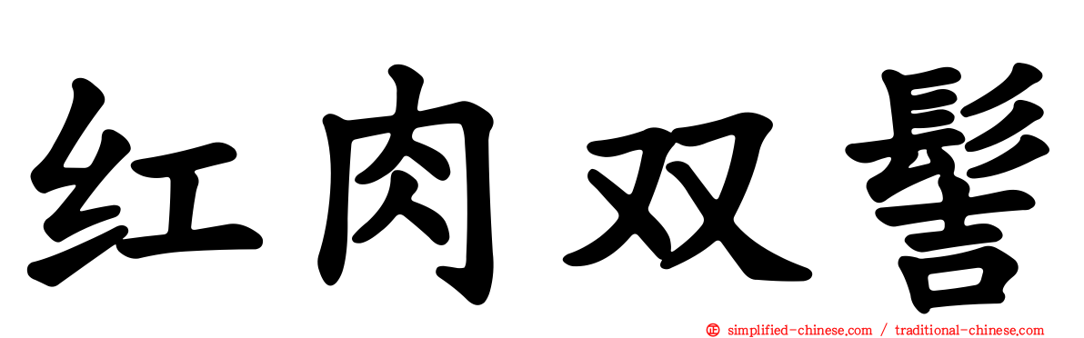 红肉双髻