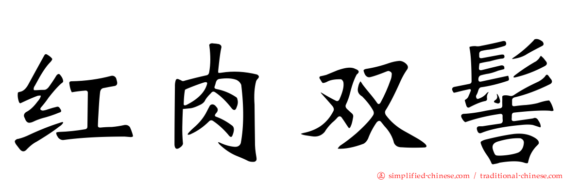 红肉双髻
