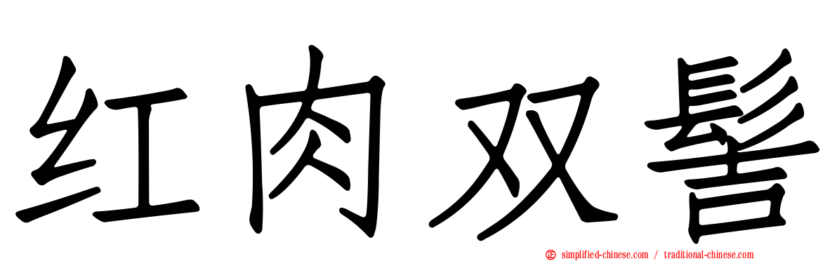 红肉双髻