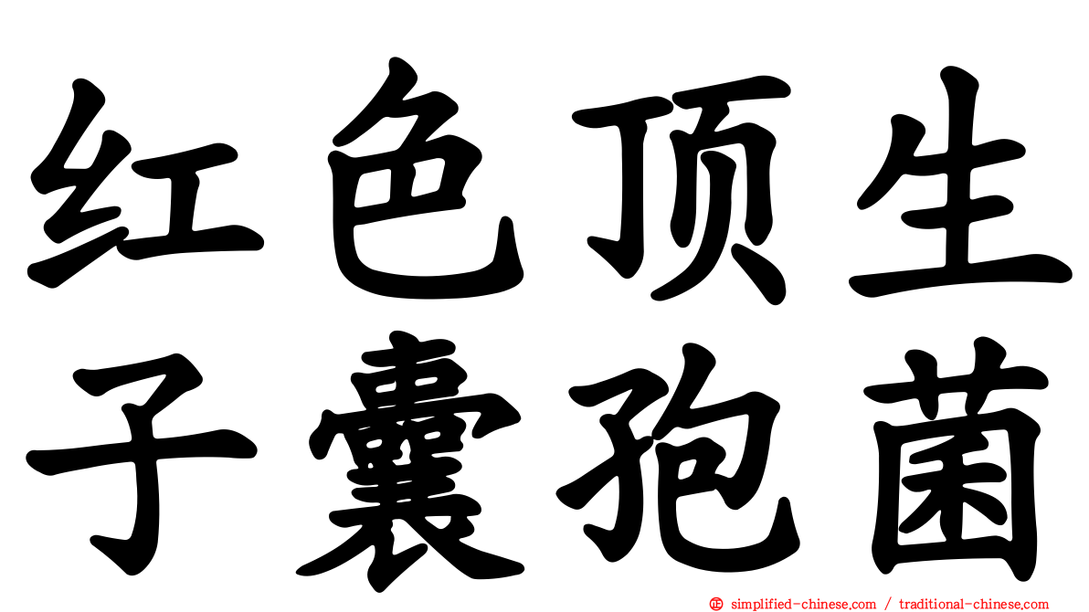 红色顶生子囊孢菌
