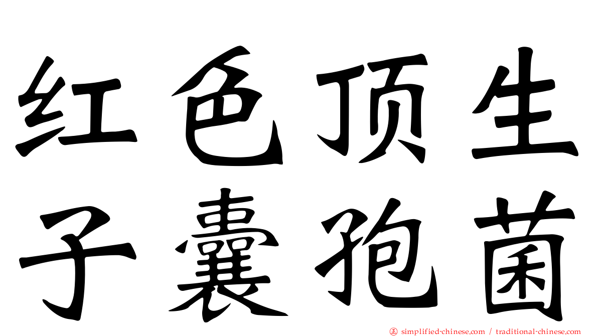 红色顶生子囊孢菌