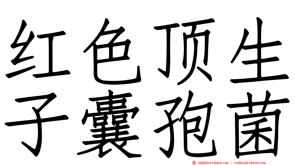 红色顶生子囊孢菌