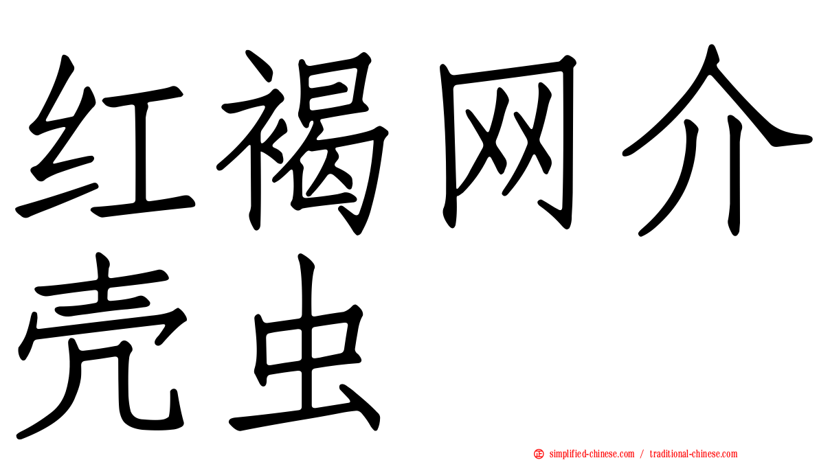 红褐网介壳虫