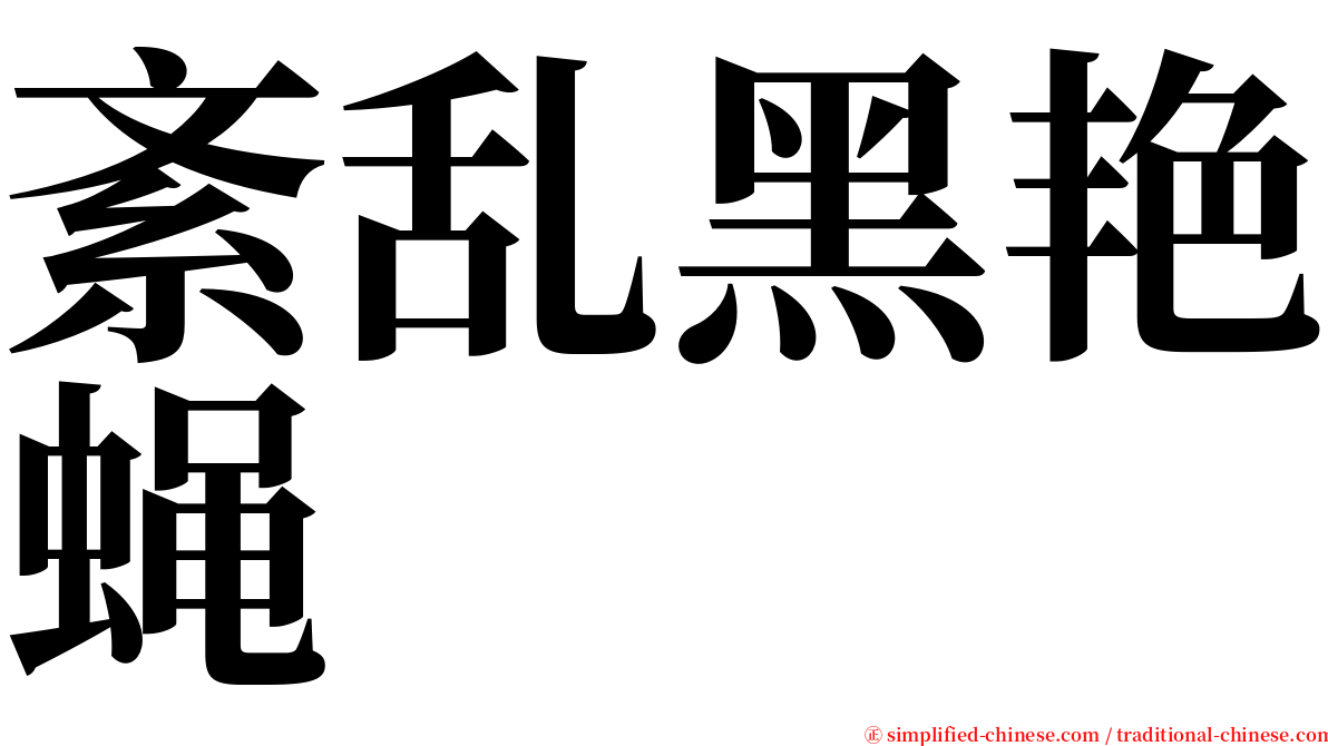 紊乱黑艳蝇 serif font