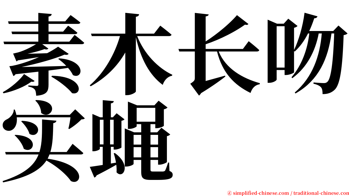 素木长吻实蝇 serif font