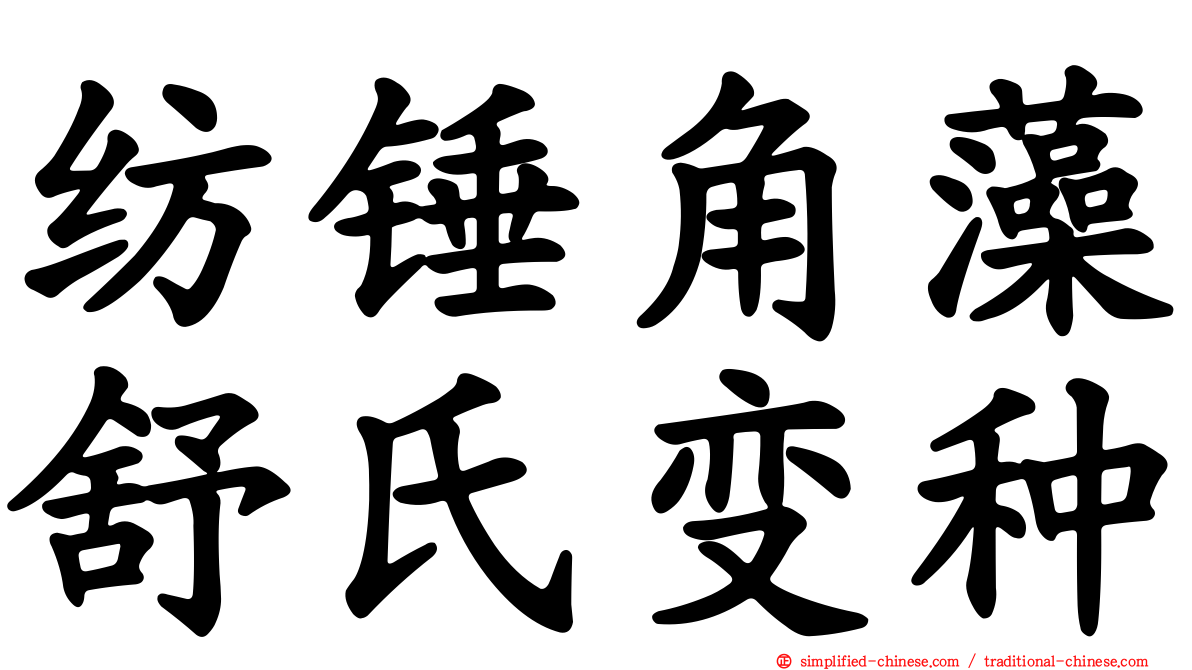 纺锤角藻舒氏变种