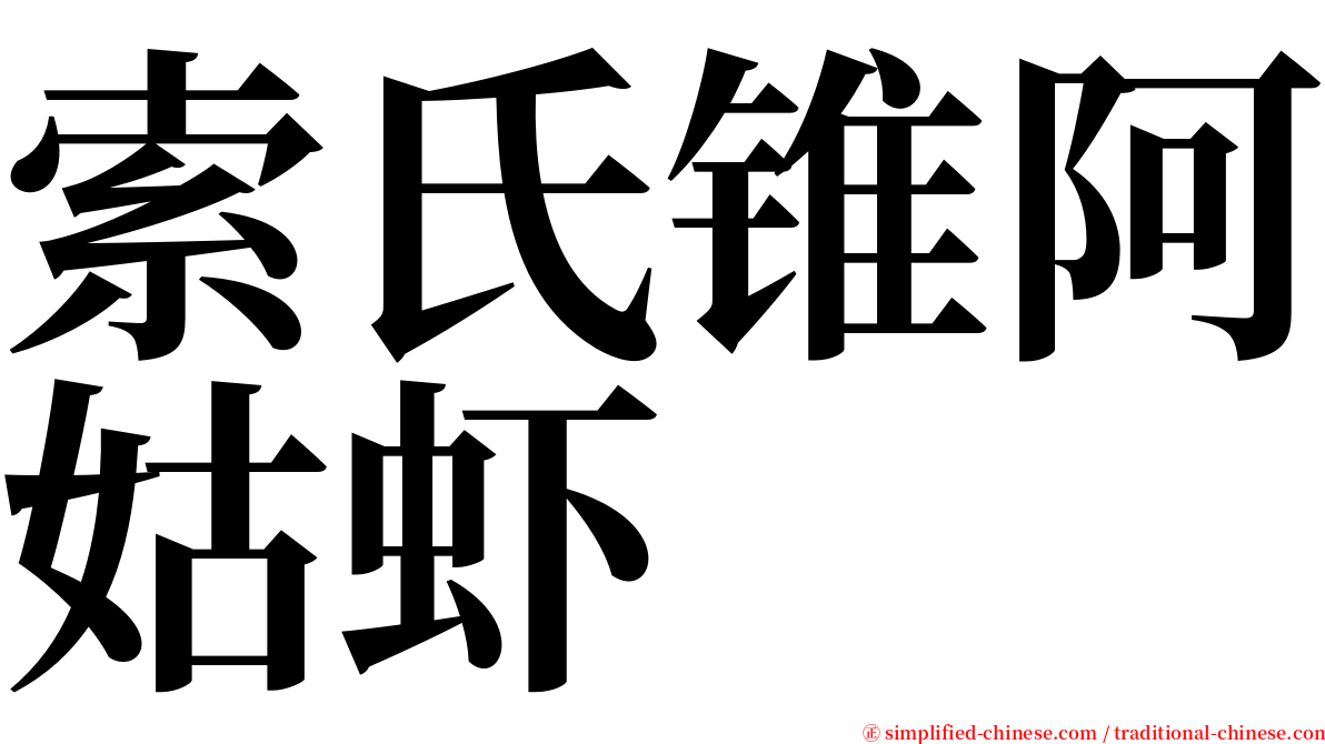 索氏锥阿姑虾 serif font