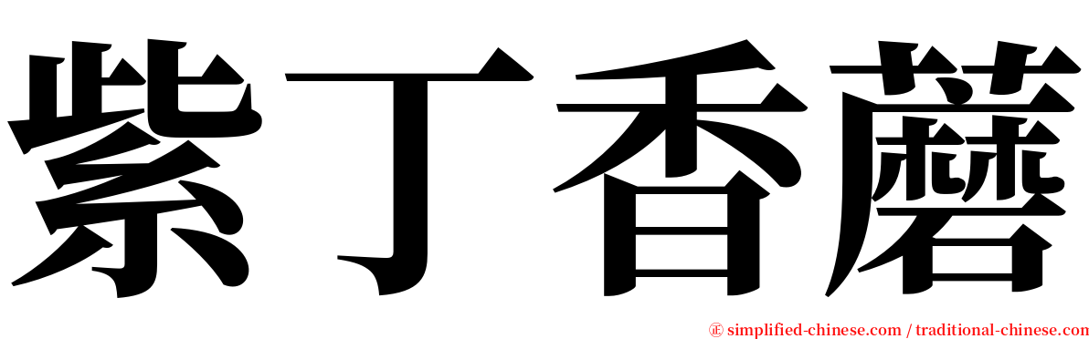 紫丁香蘑 serif font