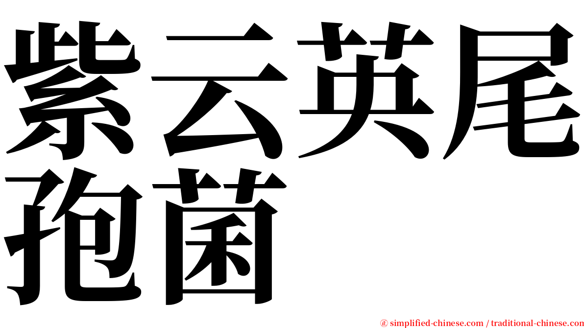 紫云英尾孢菌 serif font