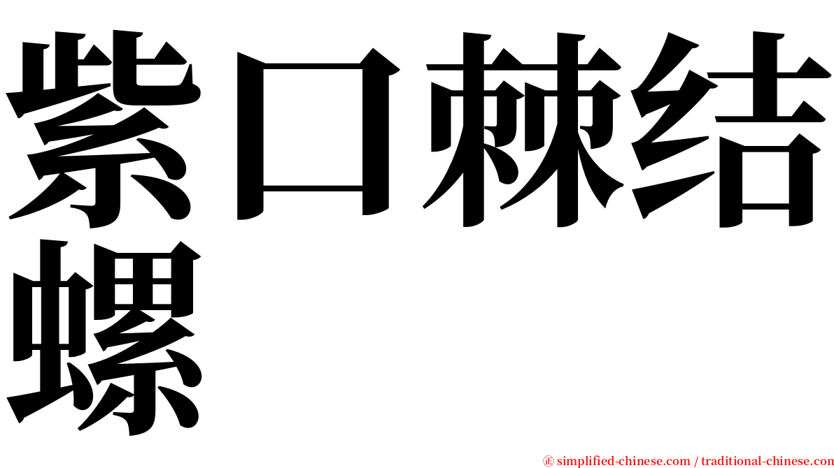 紫口棘结螺 serif font