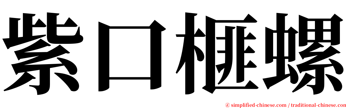 紫口榧螺 serif font