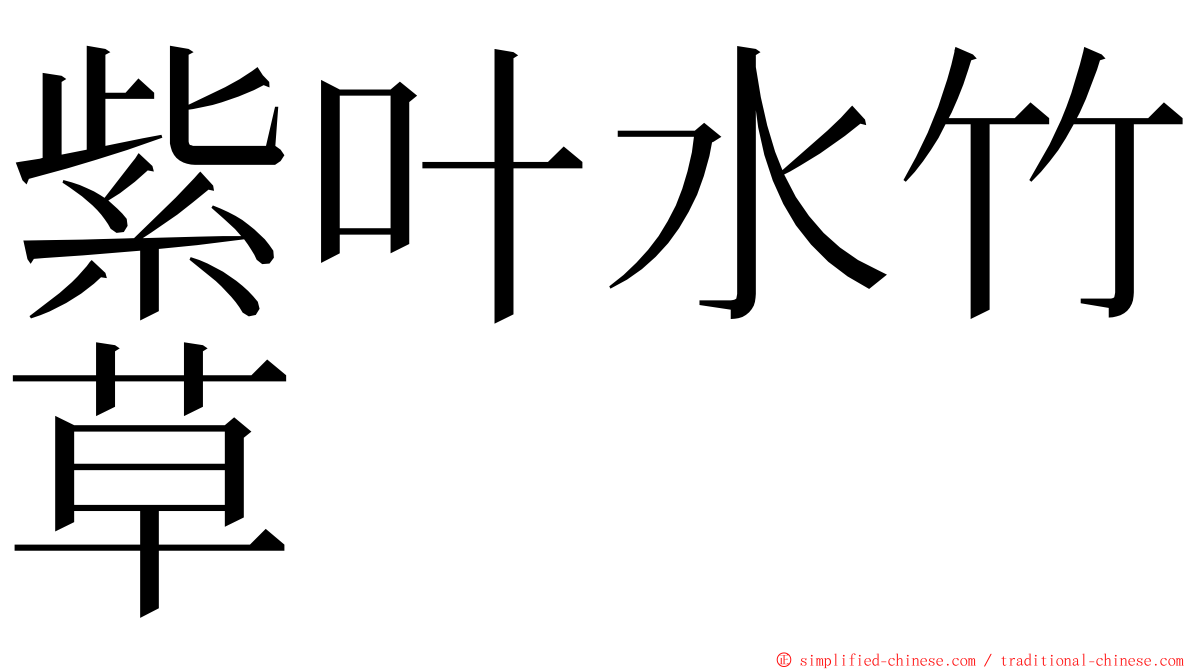 紫叶水竹草 ming font