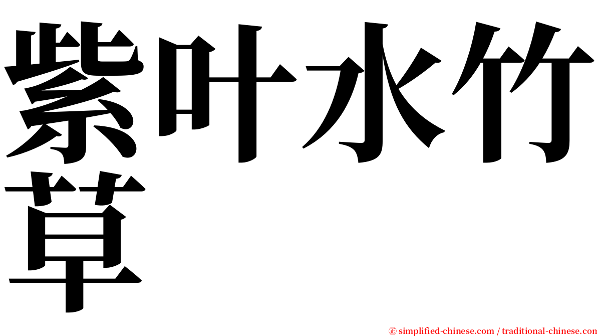 紫叶水竹草 serif font