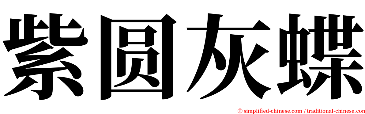 紫圆灰蝶 serif font