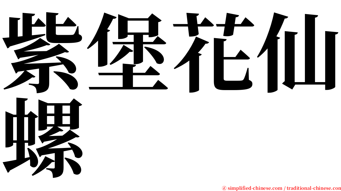 紫堡花仙螺 serif font