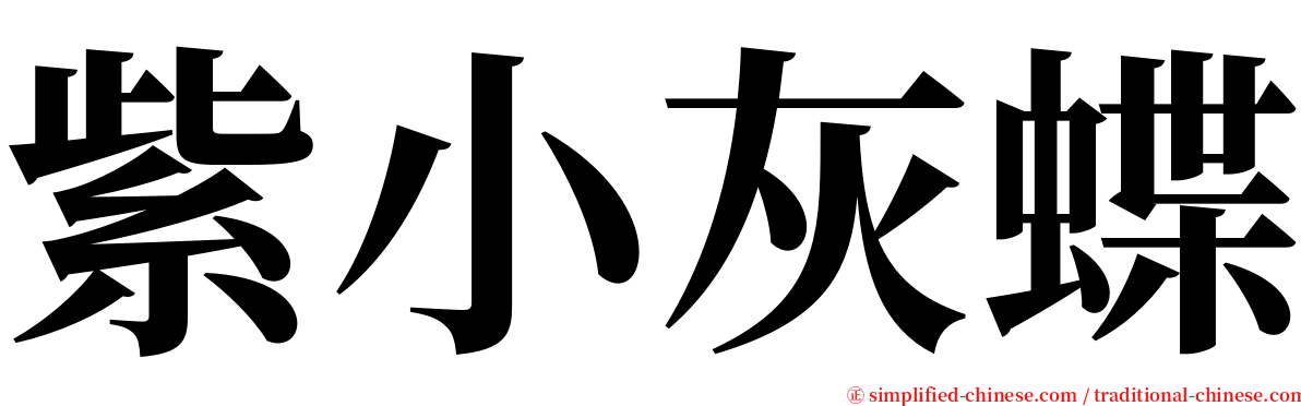 紫小灰蝶 serif font