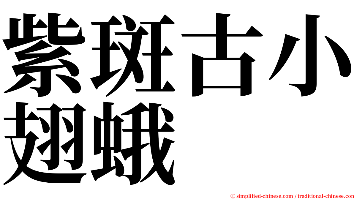 紫斑古小翅蛾 serif font