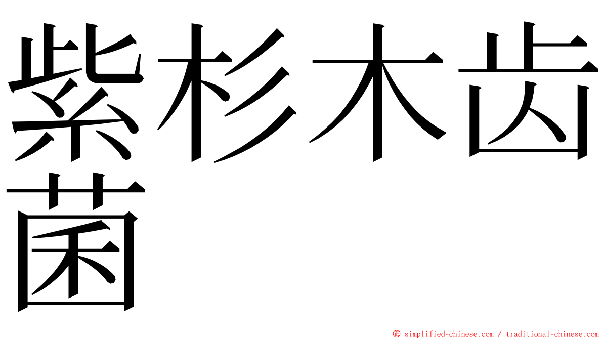 紫杉木齿菌 ming font