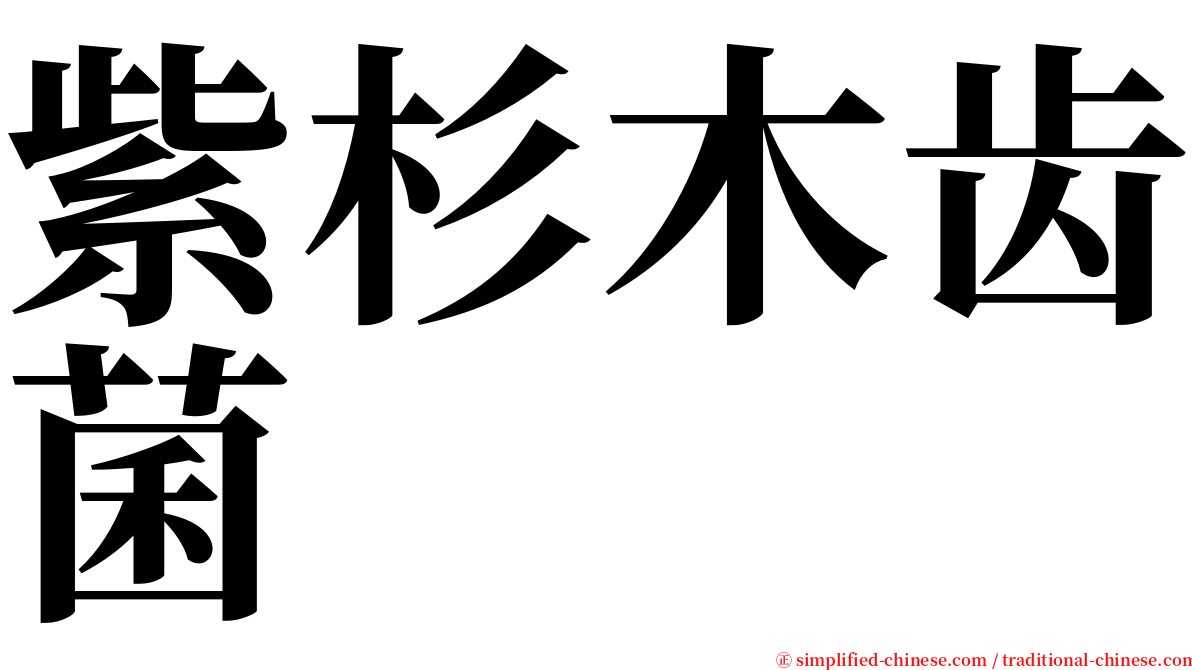 紫杉木齿菌 serif font