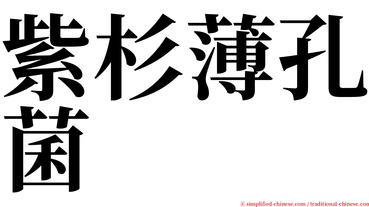 紫杉薄孔菌 serif font
