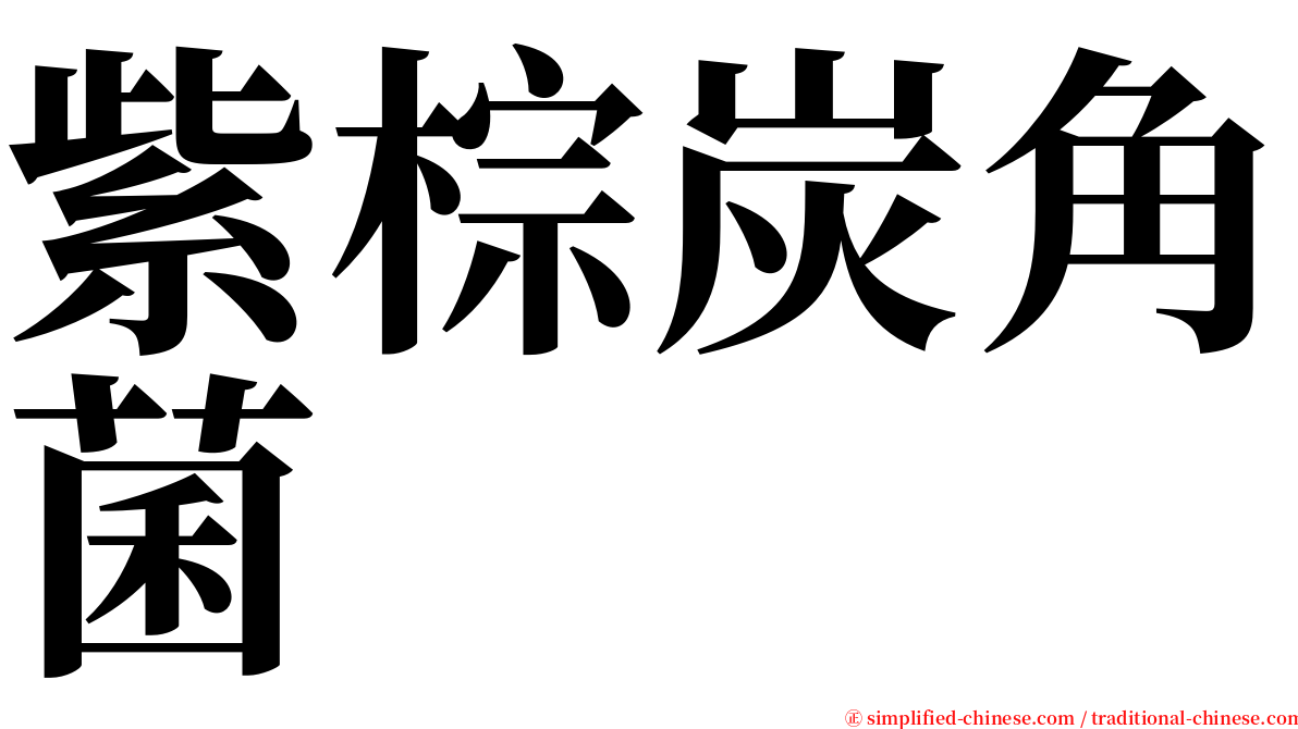 紫棕炭角菌 serif font