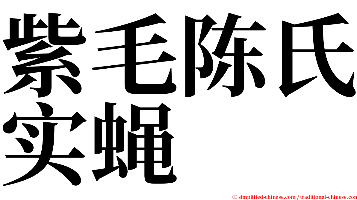 紫毛陈氏实蝇 serif font