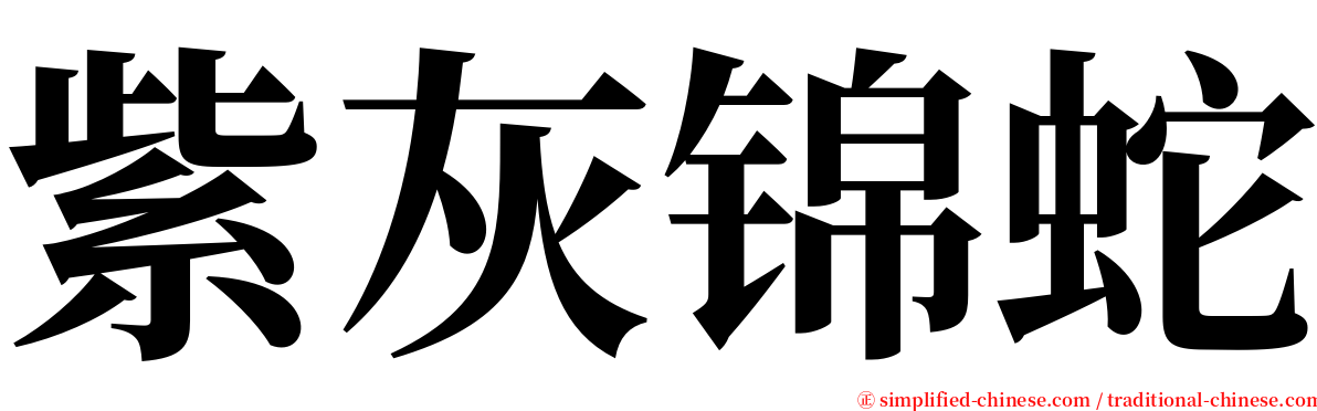 紫灰锦蛇 serif font