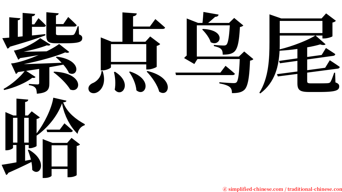 紫点鸟尾蛤 serif font