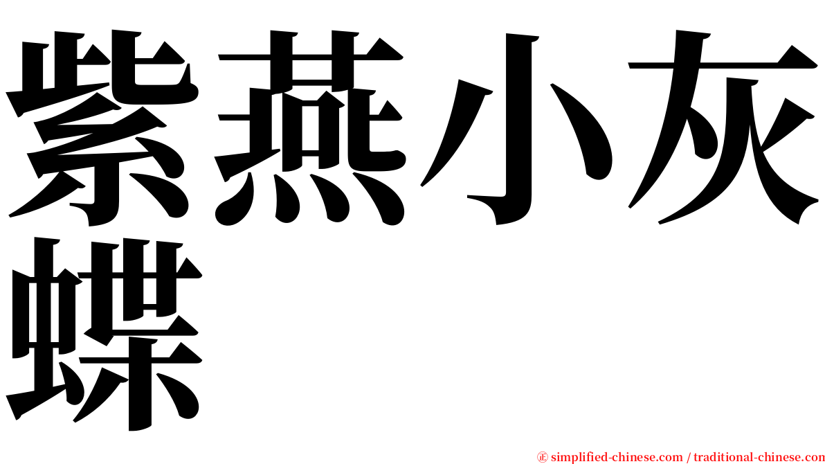 紫燕小灰蝶 serif font