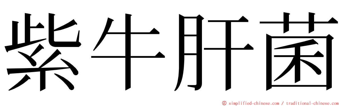 紫牛肝菌 ming font