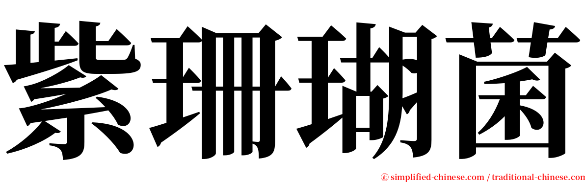 紫珊瑚菌 serif font