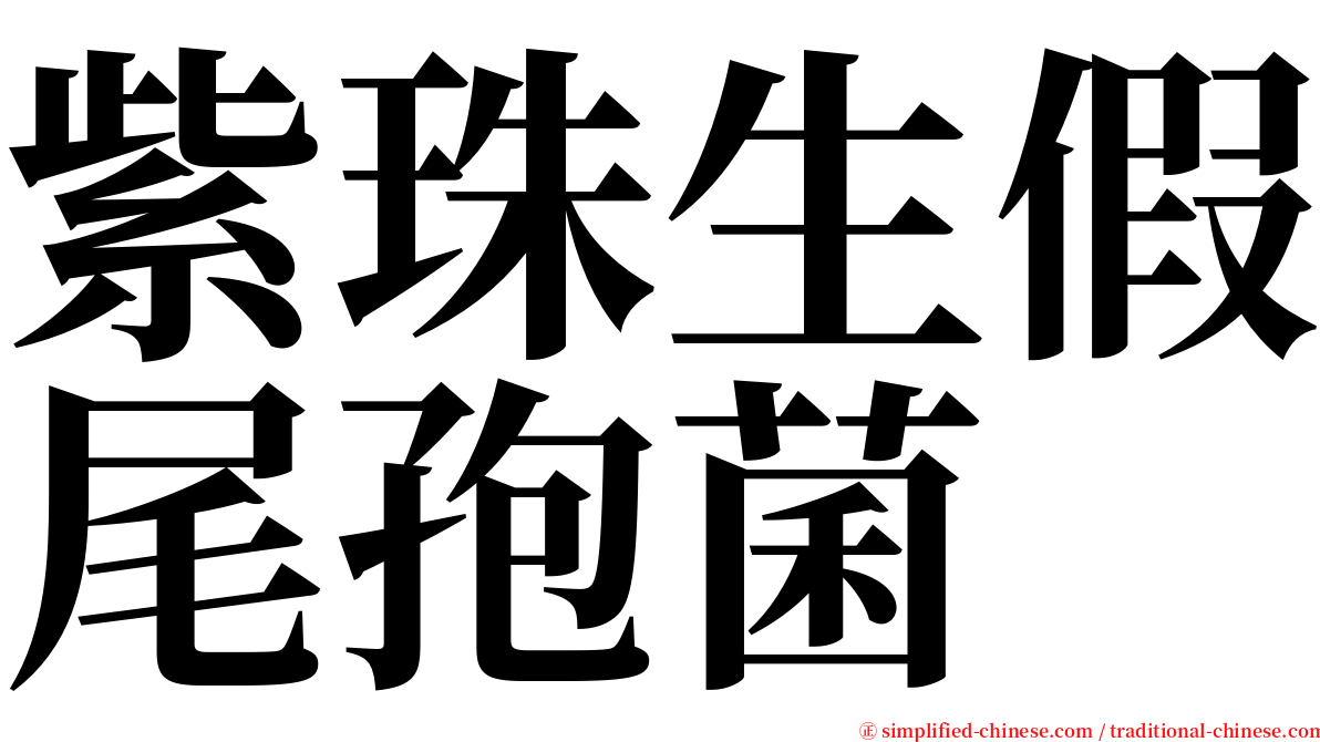 紫珠生假尾孢菌 serif font