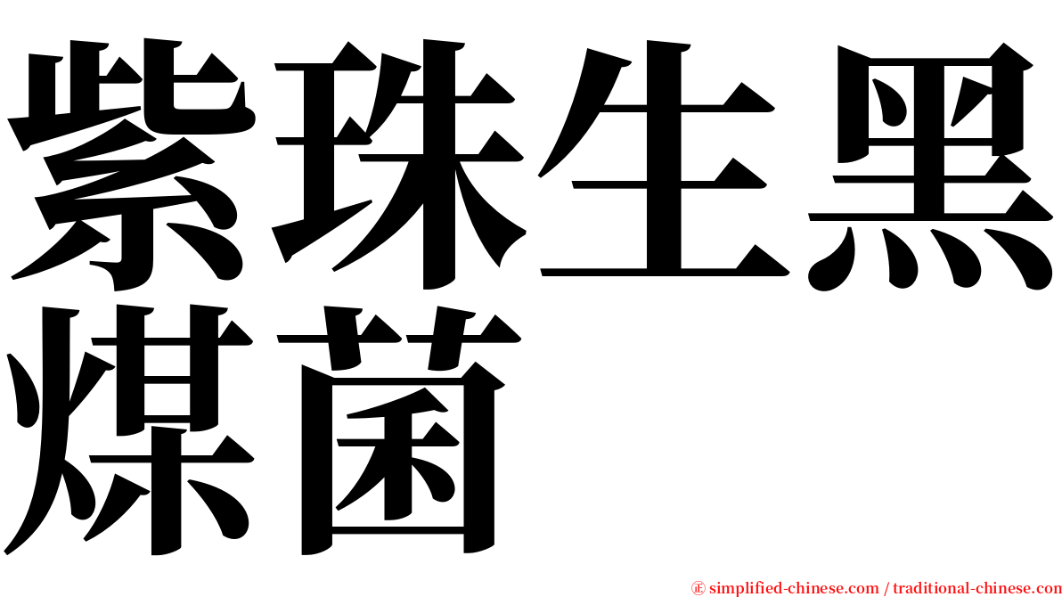 紫珠生黑煤菌 serif font