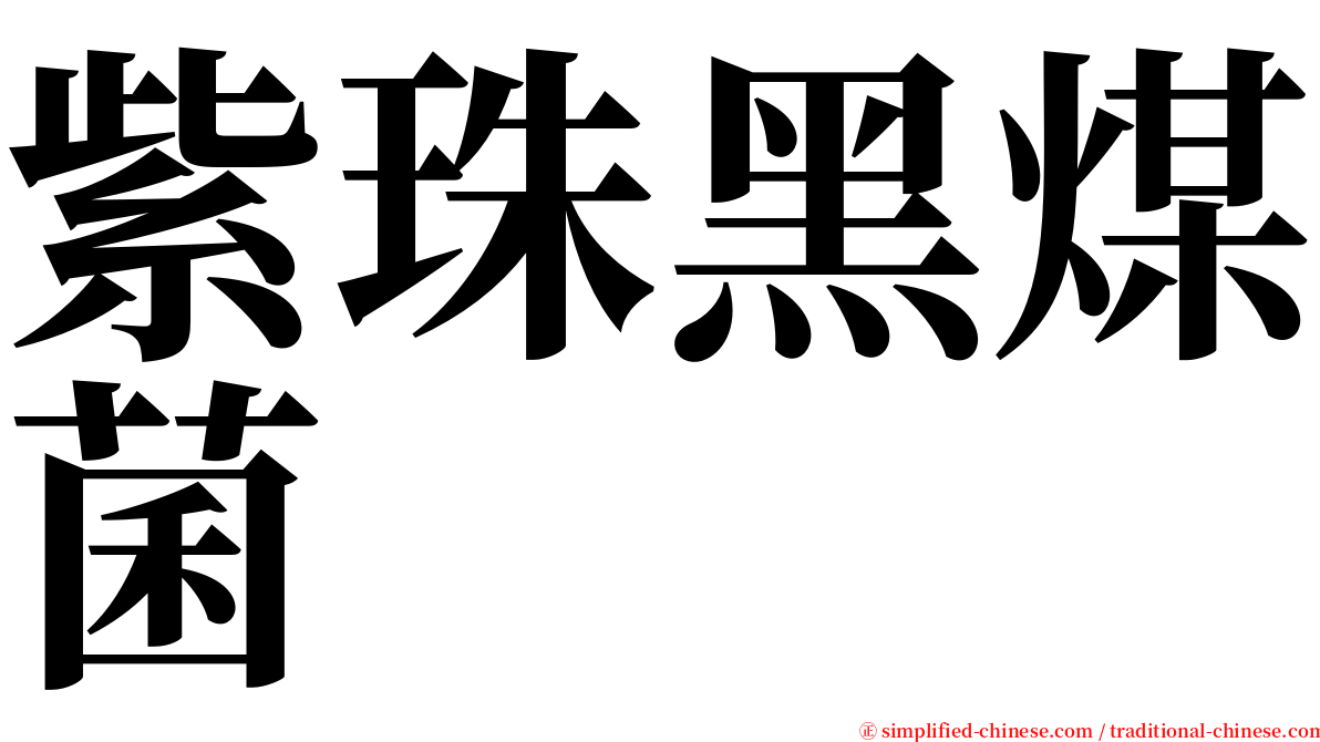 紫珠黑煤菌 serif font