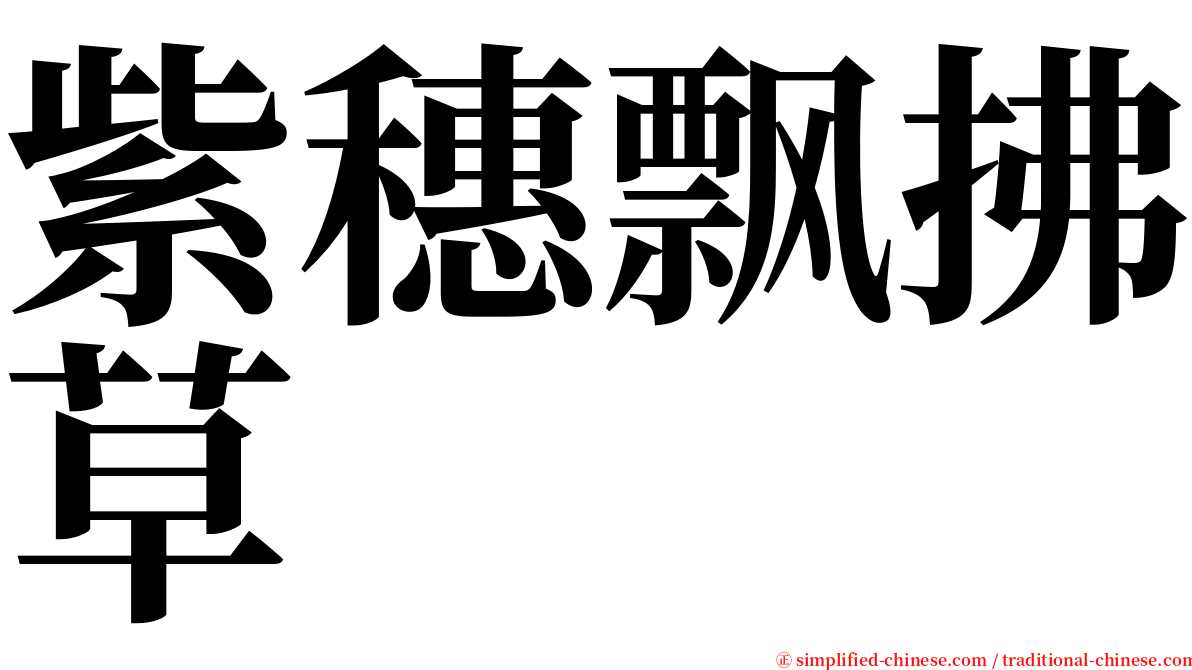 紫穗飘拂草 serif font