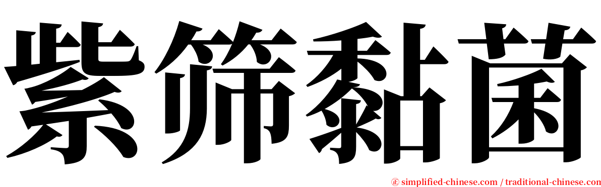 紫筛黏菌 serif font